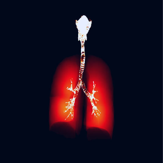 home_banner_img